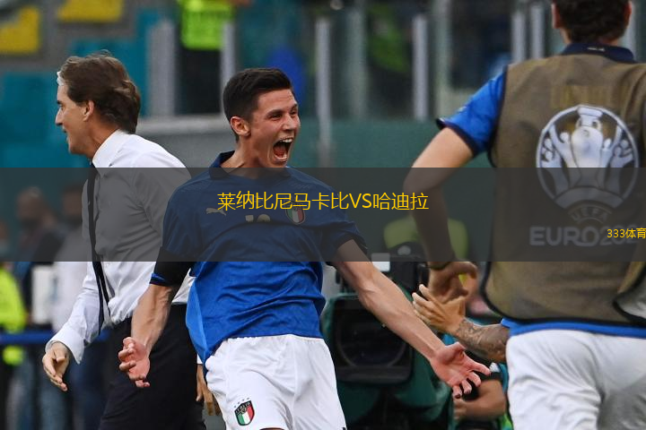 莱纳比尼马卡比VS哈迪拉