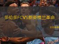 多伦多FCVS新英格兰革命