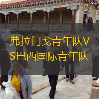 弗拉门戈青年队VS巴西国际青年队