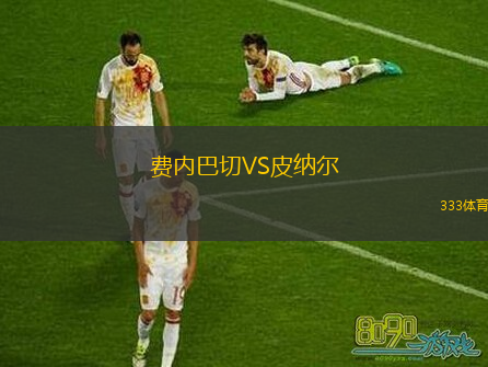 费内巴切VS皮纳尔