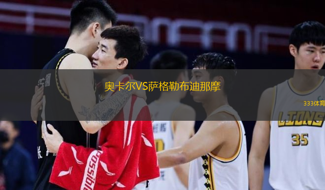 奥卡尔VS萨格勒布迪那摩