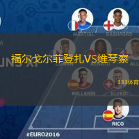 福尔戈尔菲登扎VS维琴察