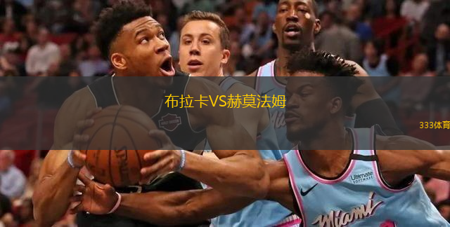 布拉卡VS赫莫法姆