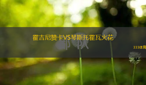 霍吉尼赞卡VS琴斯托霍瓦火花