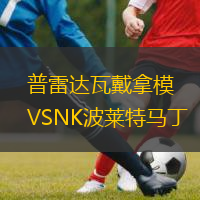 普雷达瓦戴拿模VSNK波莱特马丁